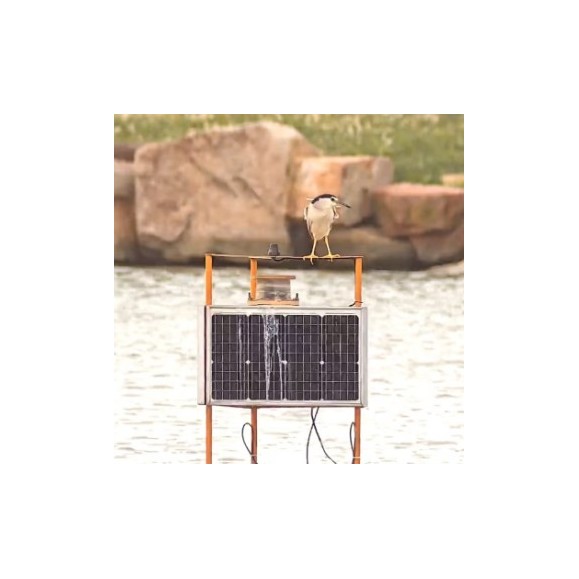 Telescópio refrator tripleto apocromático SeeStar S50