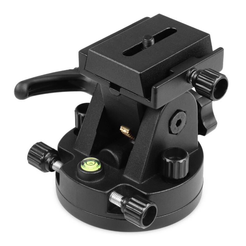 Cunha polar com barra em cauda de... Cunha polar com barra em cauda de...