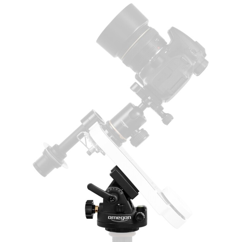 Cunha polar com barra em cauda de... Cunha polar com barra em cauda de...