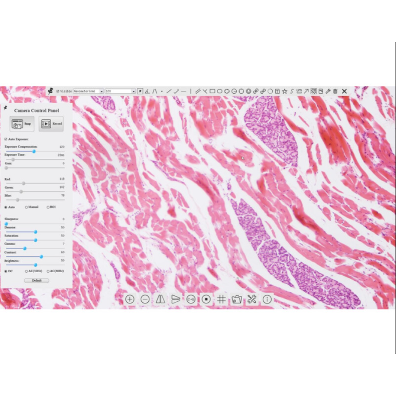 TOUPTEK ToupCam XCAMLITE1080P Uma...