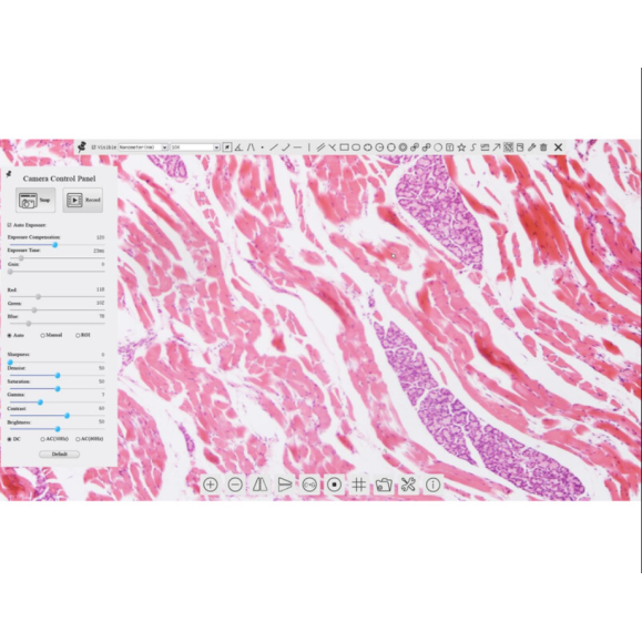 TOUPTEK ToupCam XCAMLITE1080P Uma câmara, a cores, CMOS, 1/2,8", 2,9µm, 60fps, 2 MP, HDMI