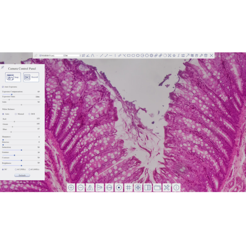 Câmara TOUPTEK ToupCam XCAMLITE4K...