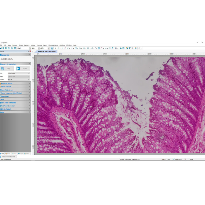 Câmara TOUPTEK ToupCam XCAMLITE4K...