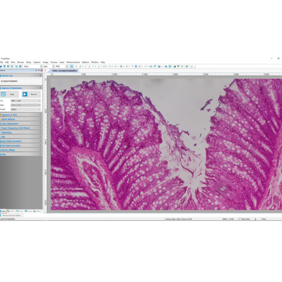 Câmara TOUPTEK ToupCam XCAMLITE4K 8MPA, cor, CMOS, 1/1,8", 2 µm, 30/20 fps, 8 MP, HDMI/USB