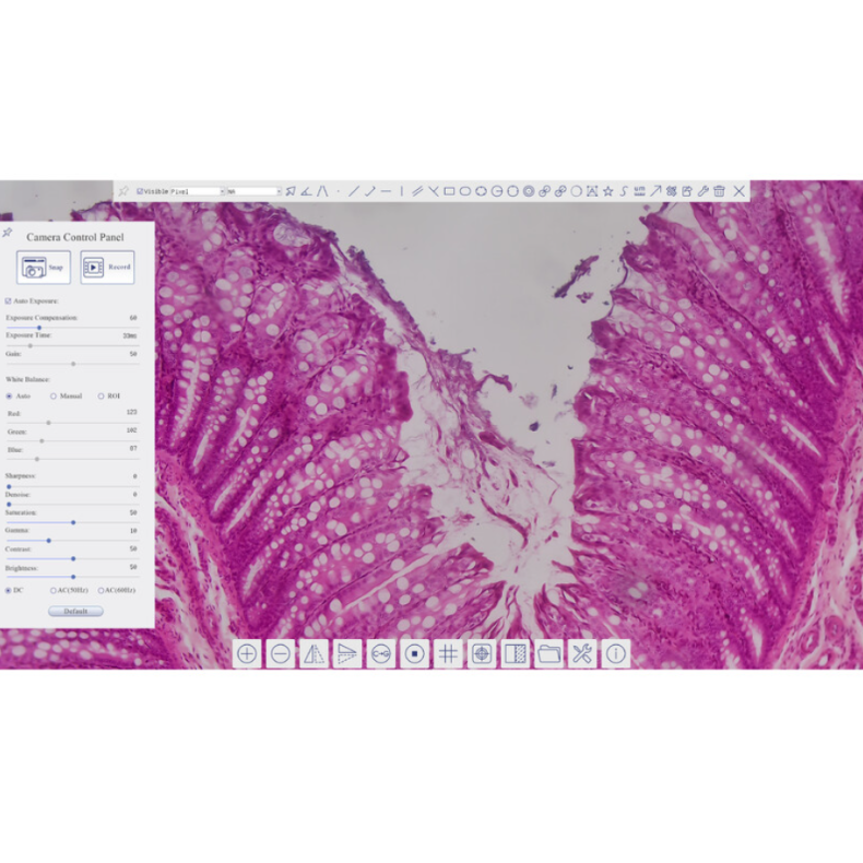 TOUPTEK ToupCam XCAMLITE4K Câmara...