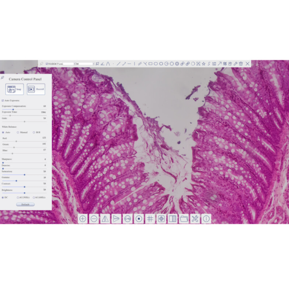 TOUPTEK ToupCam XCAMLITE4K Câmara 8MPB, cor, CMOS, 1/1,2", 2,9 µm, 30/20 fps, 8 MP, HDMI/USB 3.0