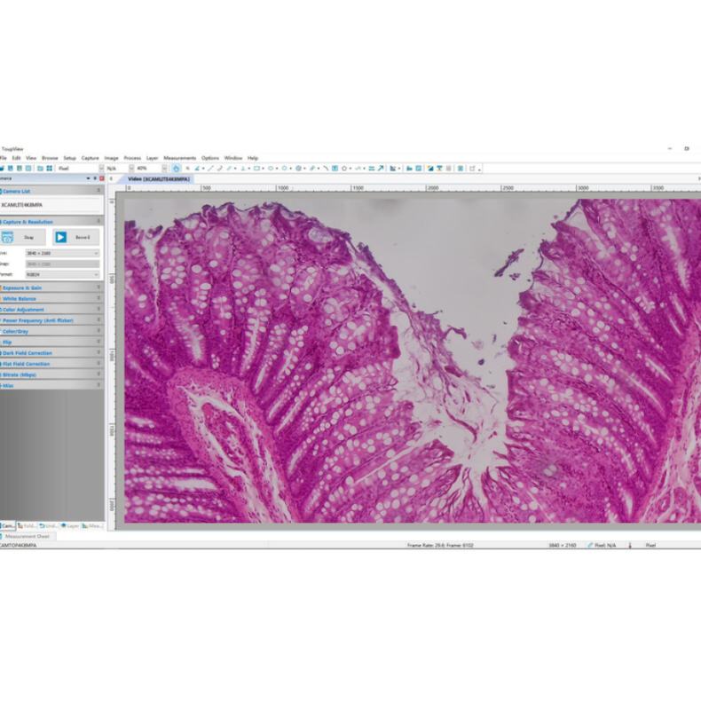 TOUPTEK ToupCam XCAMLITE4K Câmara...
