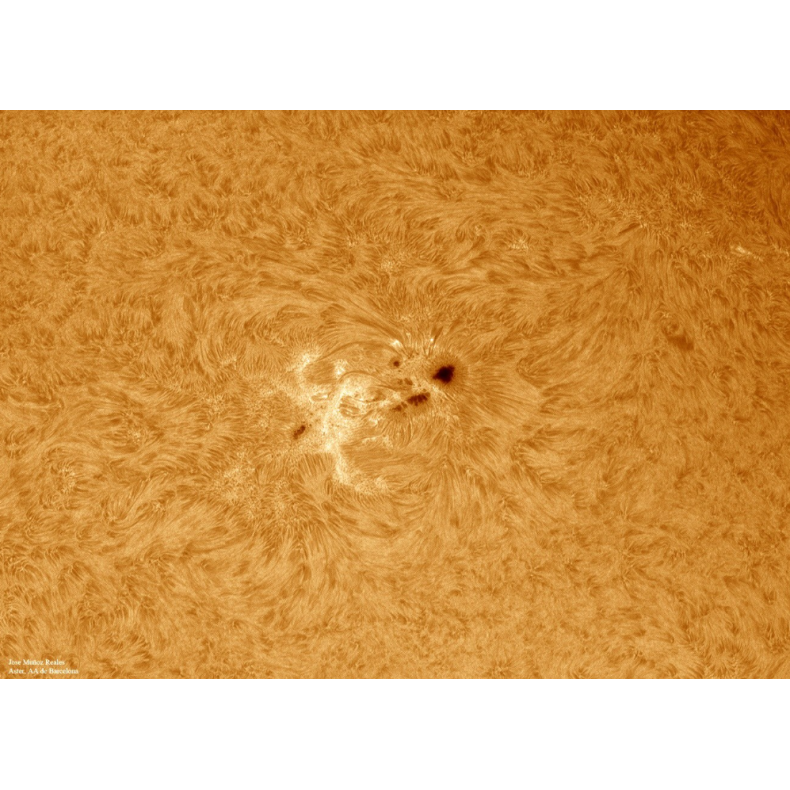 Filtro solar LUNT H-Alpha LS100FHa /...