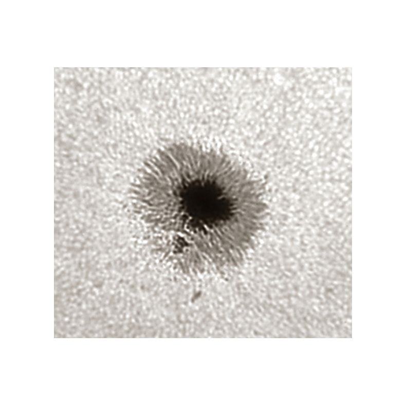 Prisma Herschel LUNT LS1.25HW 50,8 mm...