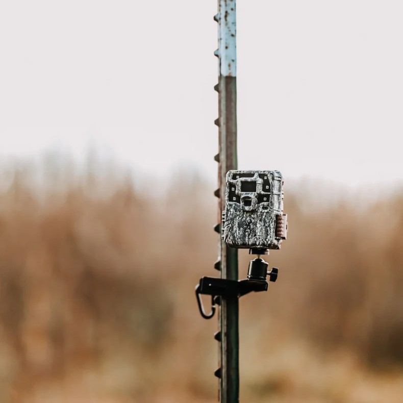 Cámara de trampeo Strike Force Pro x...