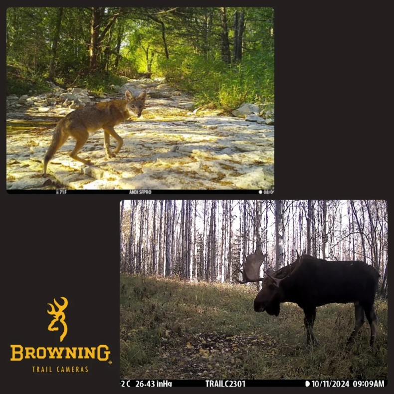 Câmara de armadilhagem Dark Ops Pro X... Câmara de armadilhagem Dark Ops Pro X...