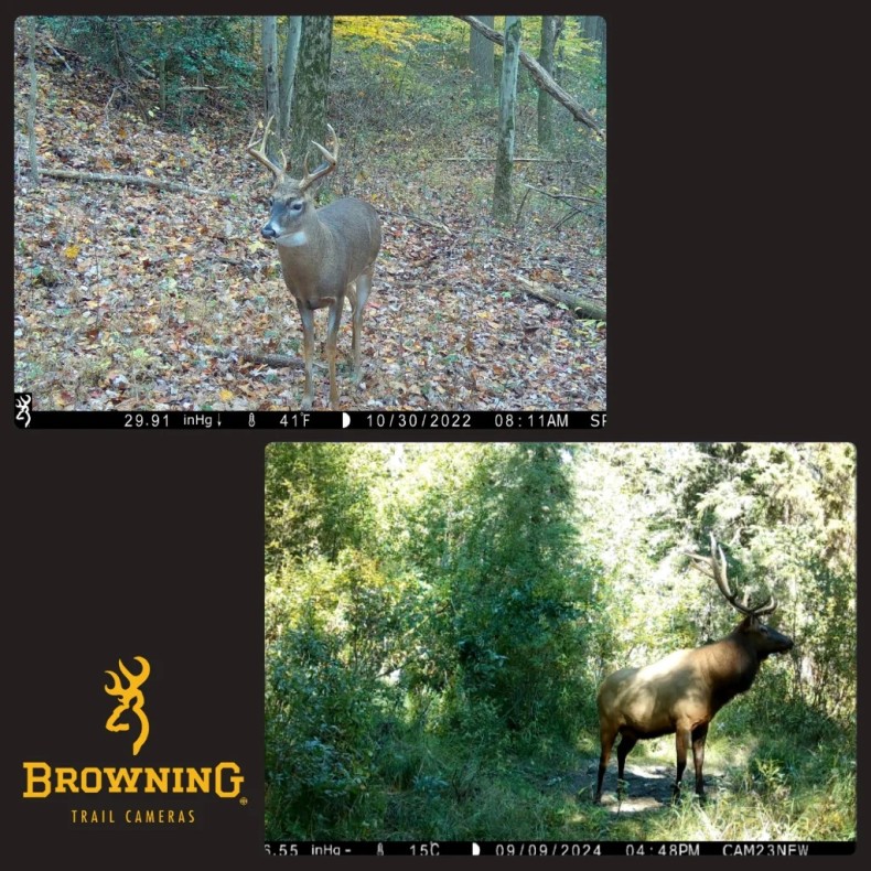 Cámara de trampeo Spec Ops Elite HP5...