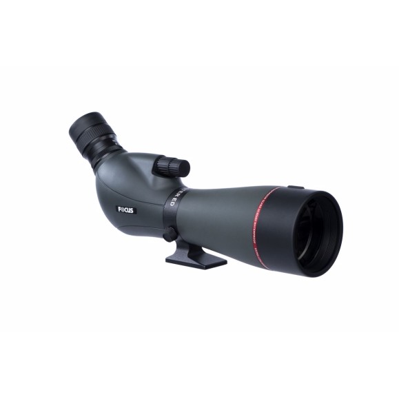 Telescopio terrestre Focus Viewmaster 20-60x80 WP