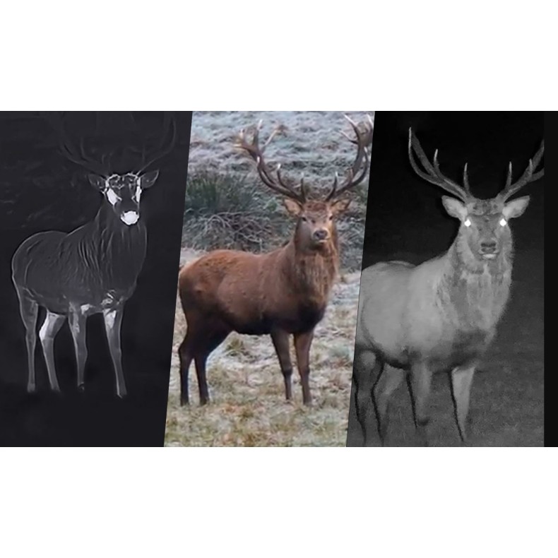 Binóculos térmicos multi-espetro com...