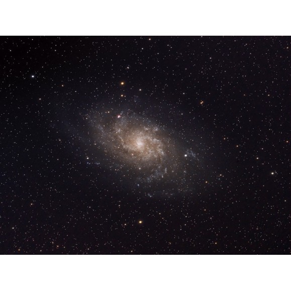 Celestron Telescópio Astrográfico Telescópio Astrográfico Rowe-Ackerman Schmidt 11"