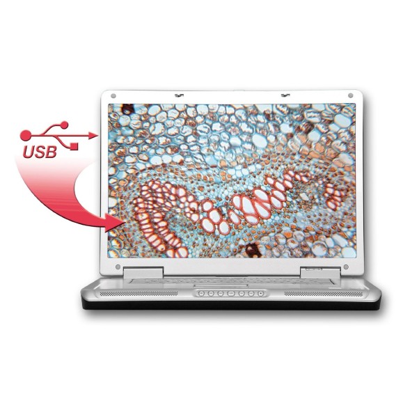 Bresser Kit para microscópio Biolux CEA com caixa 8855000